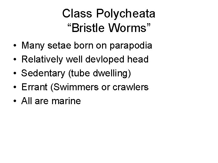 Class Polycheata “Bristle Worms” • • • Many setae born on parapodia Relatively well