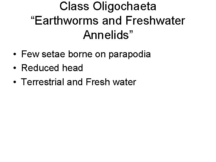 Class Oligochaeta “Earthworms and Freshwater Annelids” • Few setae borne on parapodia • Reduced