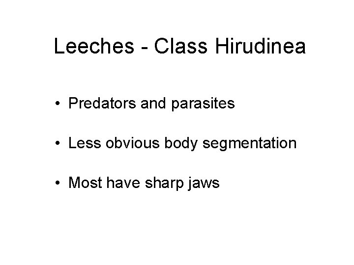 Leeches - Class Hirudinea • Predators and parasites • Less obvious body segmentation •