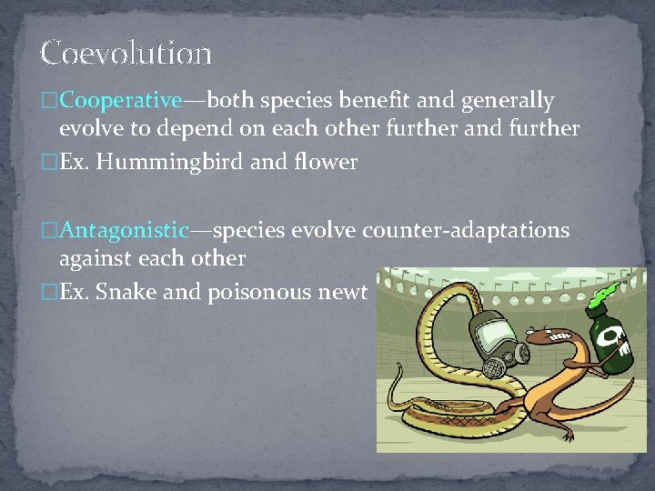 Coevolution �Cooperative—both species benefit and generally evolve to depend on each other further and