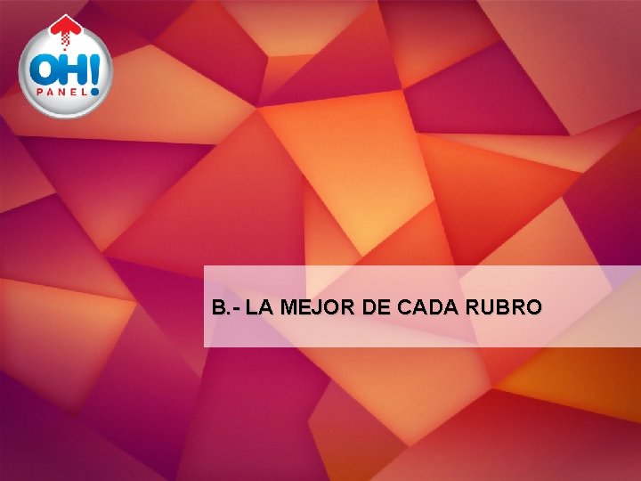 B. - LA MEJOR DE CADA RUBRO 18 