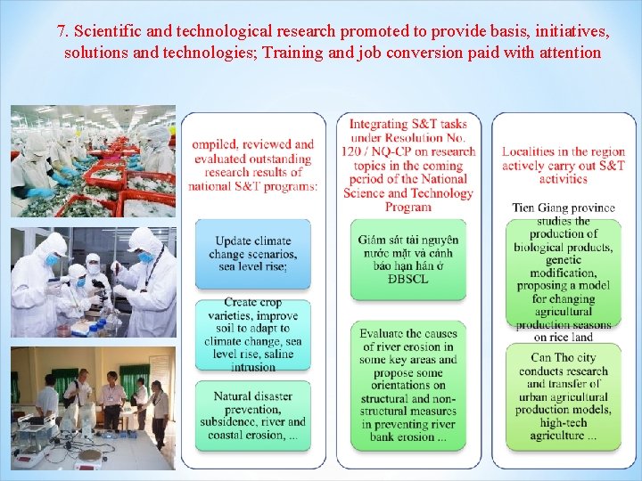 7. Scientific and technological research promoted to provide basis, initiatives, solutions and technologies; Training