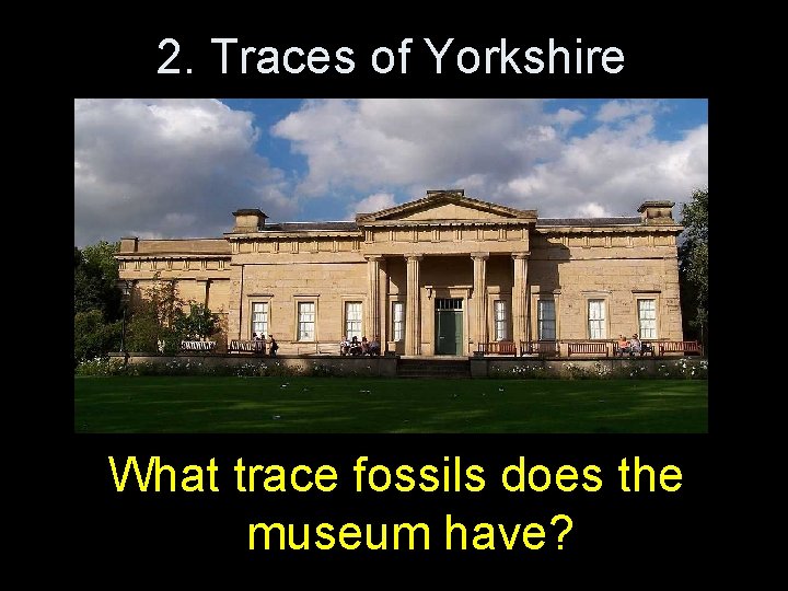 2. Traces of Yorkshire What trace fossils does the museum have? 
