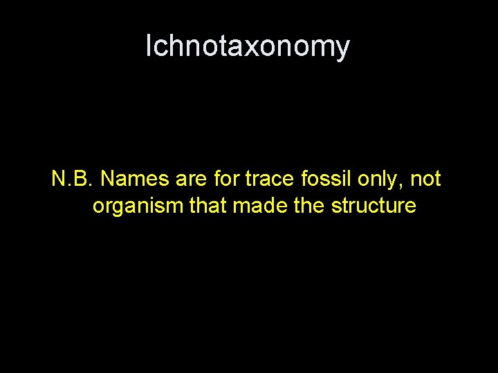 Ichnotaxonomy N. B. Names are for trace fossil only, not organism that made the