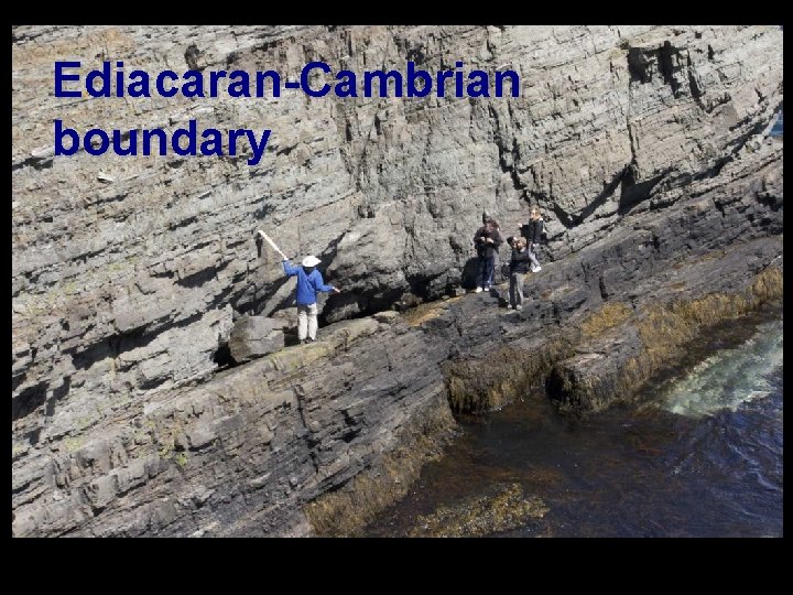 Ediacaran-Cambrian boundary 