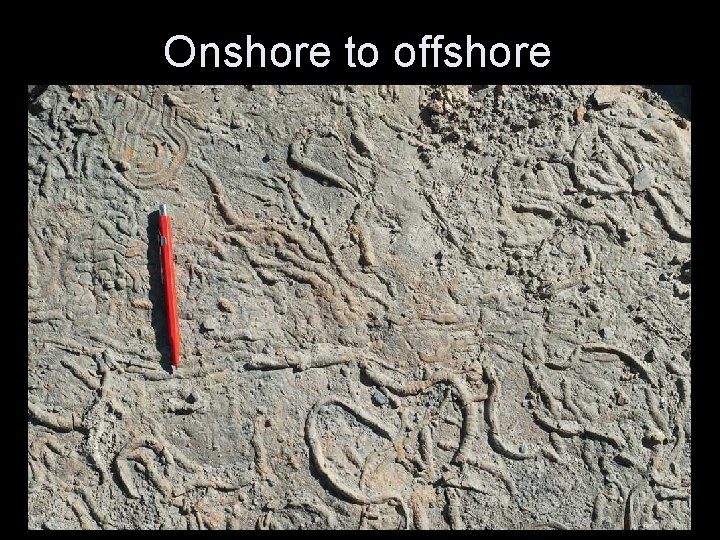 Onshore to offshore 