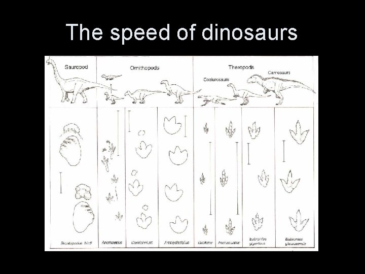 The speed of dinosaurs 