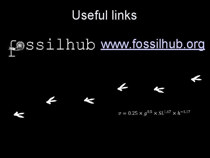 Useful links www. fossilhub. org 