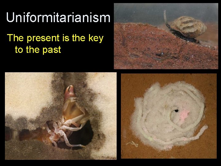 Uniformitarianism The present is the key to the past 