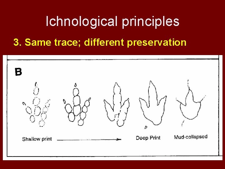 Ichnological principles 3. Same trace; different preservation 