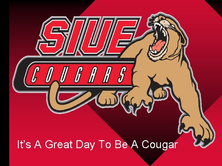 It’s A Great Day To Be A Cougar 