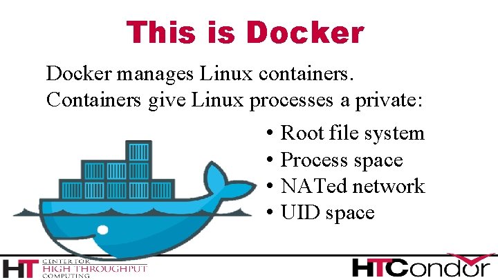 This is Docker manages Linux containers. Containers give Linux processes a private: • •