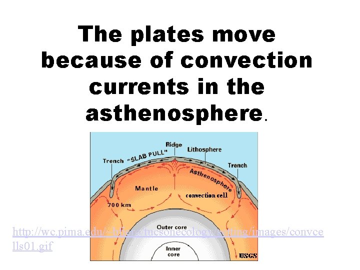 The plates move because of convection currents in the asthenosphere. http: //wc. pima. edu/~bfiero/tucsonecology/setting/images/convce