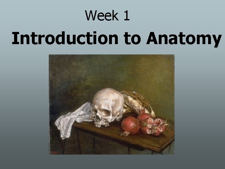 Week 1 Introduction to Anatomy 
