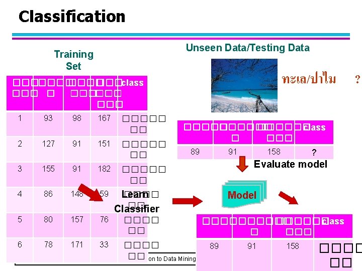 Classification Unseen Data/Testing Data Training Set ทะเล/ปาไม ? ������� ���class ��� � ������ 1