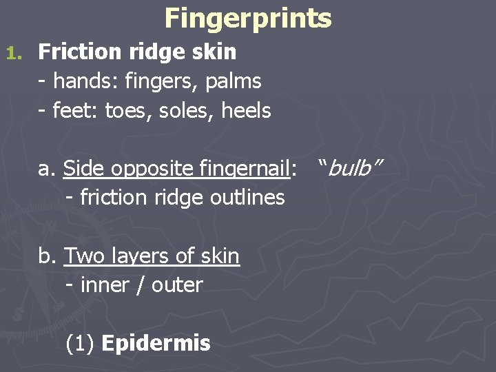 Fingerprints 1. Friction ridge skin - hands: fingers, palms - feet: toes, soles, heels