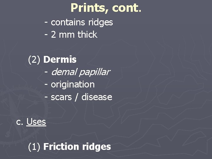 Prints, cont. - contains ridges - 2 mm thick (2) Dermis - demal papillar