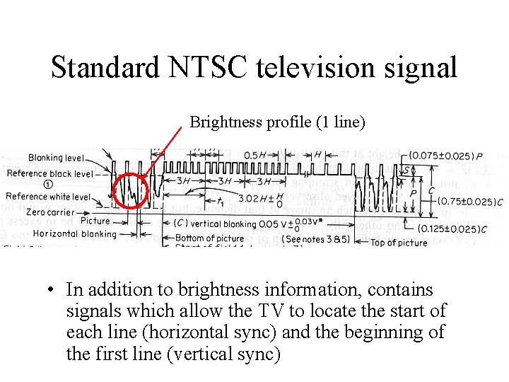 Standard NTSC television signal Brightness profile (1 line) • In addition to brightness information,