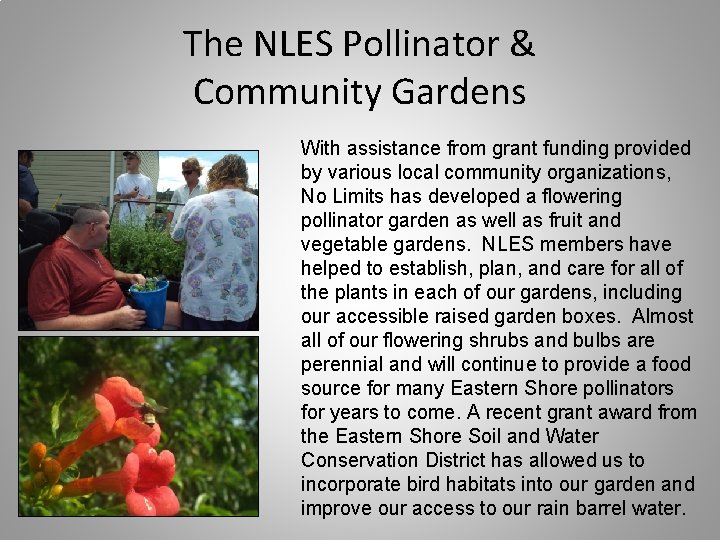 The NLES Pollinator & Community Gardens With assistance from grant funding provided by various