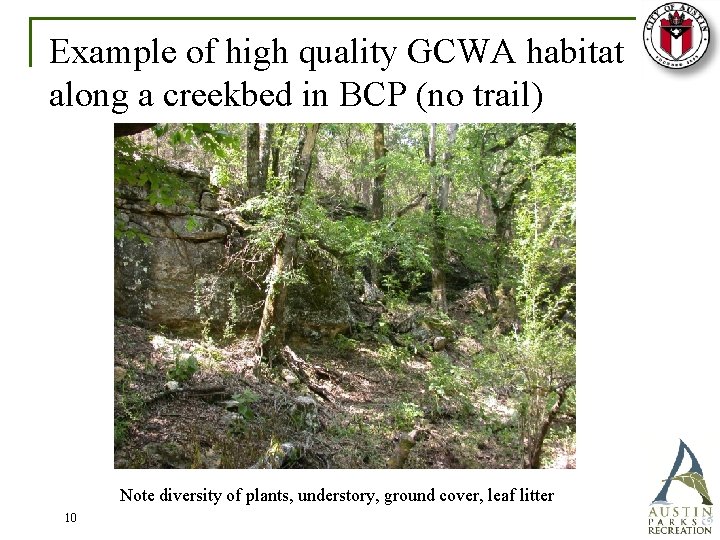 Example of high quality GCWA habitat along a creekbed in BCP (no trail) Note