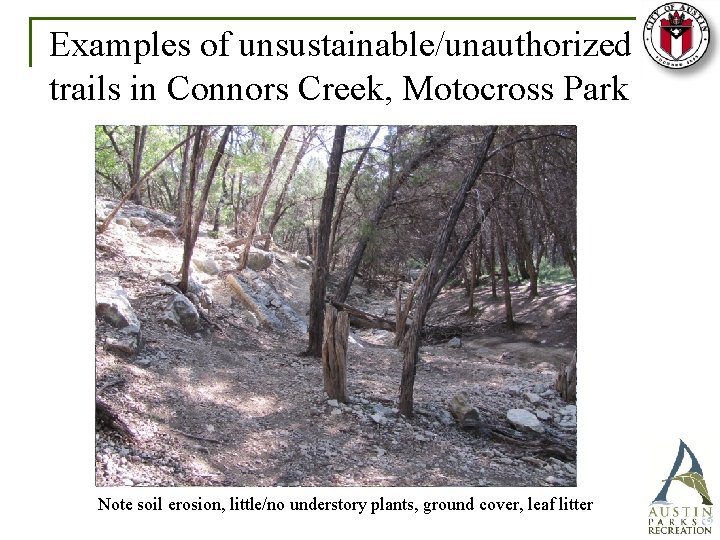 Examples of unsustainable/unauthorized trails in Connors Creek, Motocross Park Note soil erosion, little/no understory