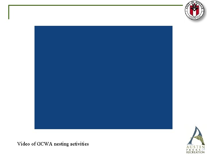 Video of GCWA nesting activities 