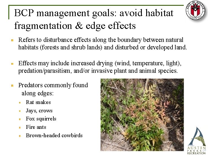 BCP management goals: avoid habitat fragmentation & edge effects Refers to disturbance effects along