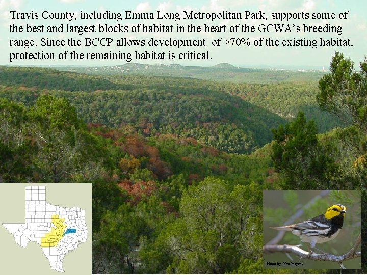 Travis County, including Emma Long Metropolitan Park, supports some of the best and largest
