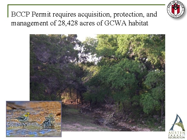 BCCP Permit requires acquisition, protection, and management of 28, 428 acres of GCWA habitat