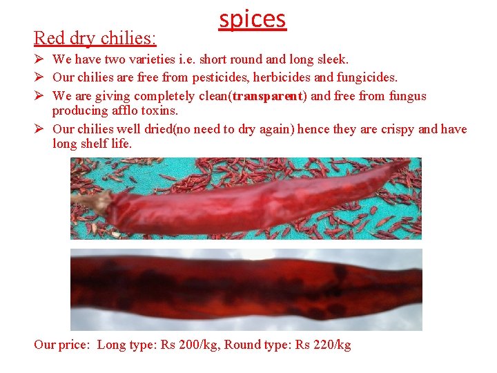 Red dry chilies: spices Ø We have two varieties i. e. short round and Red dry chilies: spices Ø We have two varieties i. e. short round and