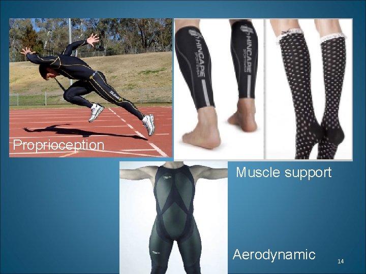 Proprioception Muscle support Aerodynamic 14 