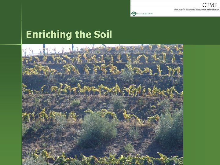 Enriching the Soil 