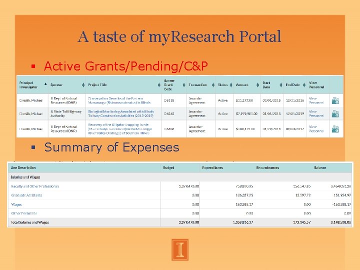 A taste of my. Research Portal Active Grants/Pending/C&P Summary of Expenses A taste of my. Research Portal Active Grants/Pending/C&P Summary of Expenses