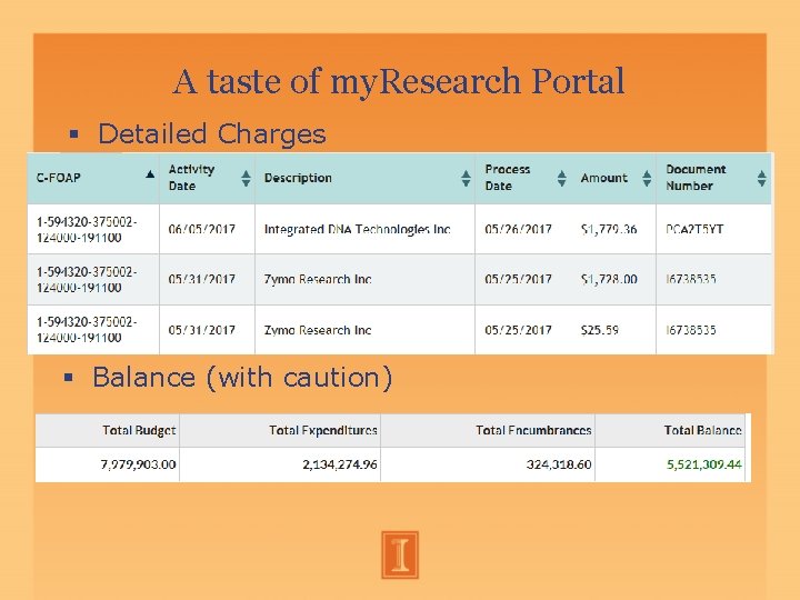 A taste of my. Research Portal Detailed Charges Balance (with caution) A taste of my. Research Portal Detailed Charges Balance (with caution)
