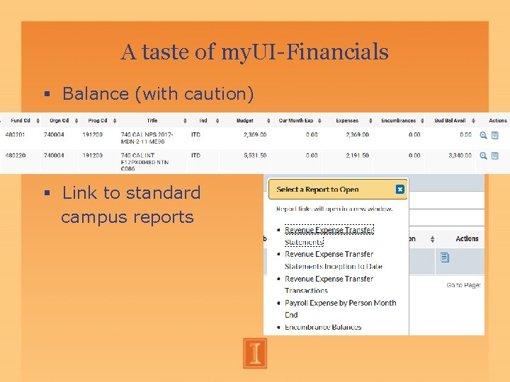 A taste of my. UI-Financials Balance (with caution) Link to standard campus reports A taste of my. UI-Financials Balance (with caution) Link to standard campus reports