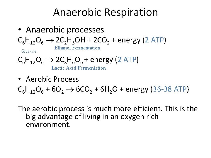 Anaerobic Respiration • Anaerobic processes C 6 H 12 O 6 2 C 2