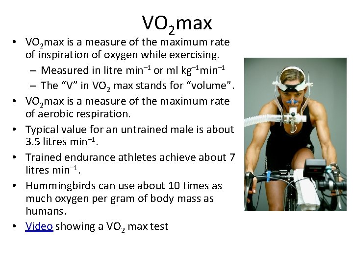 VO 2 max • VO 2 max is a measure of the maximum rate