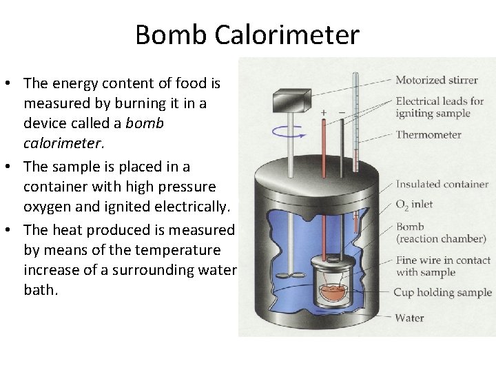 Bomb Calorimeter • The energy content of food is measured by burning it in