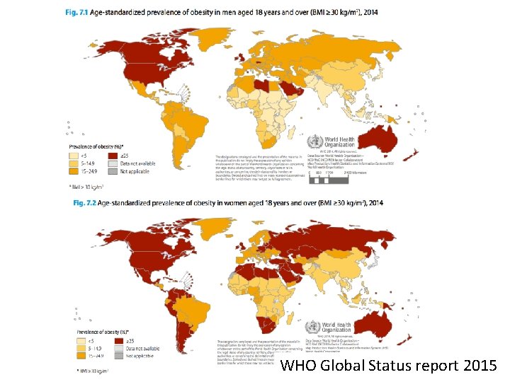 WHO Global Status report 2015 