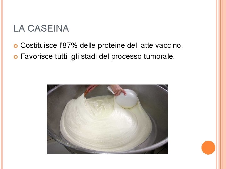 LA CASEINA Costituisce l’ 87% delle proteine del latte vaccino. Favorisce tutti gli stadi