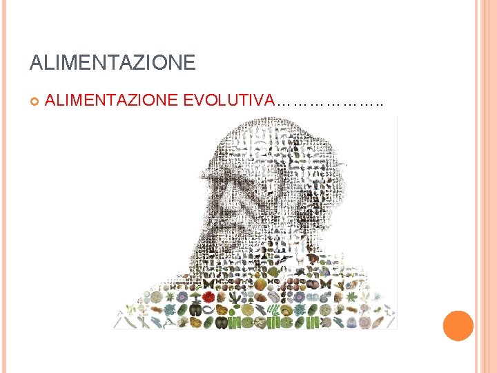 ALIMENTAZIONE EVOLUTIVA………………. . 