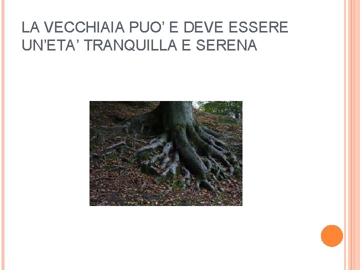 LA VECCHIAIA PUO’ E DEVE ESSERE UN’ETA’ TRANQUILLA E SERENA 