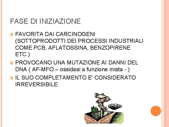 FASE DI INIZIAZIONE FAVORITA DAI CARCINOGENI (SOTTOPRODOTTI DEI PROCESSI INDUSTRIALI COME PCB, AFLATOSSINA, BENZOPIRENE