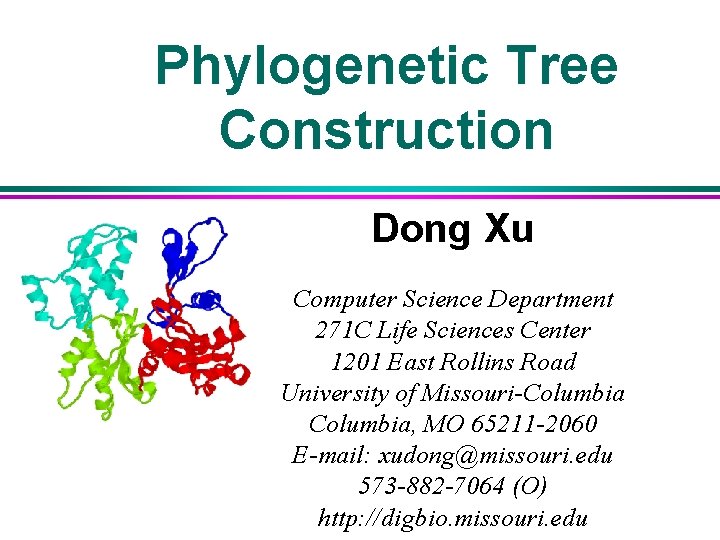 Phylogenetic Tree Construction Dong Xu Computer Science Department 271 C Life Sciences Center 1201 Phylogenetic Tree Construction Dong Xu Computer Science Department 271 C Life Sciences Center 1201