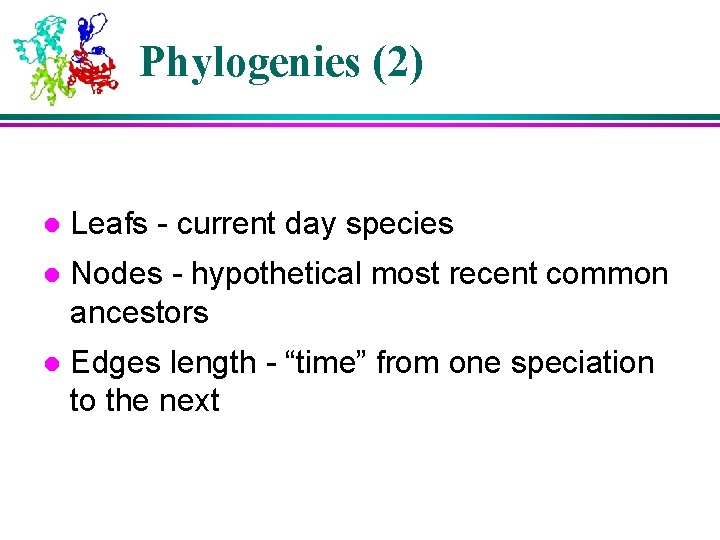 Phylogenies (2) l Leafs - current day species l Nodes - hypothetical most recent Phylogenies (2) l Leafs - current day species l Nodes - hypothetical most recent