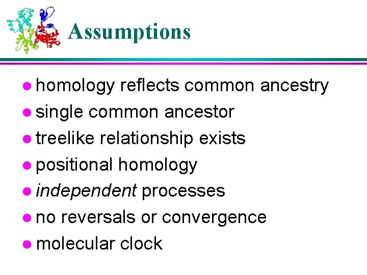 Assumptions l homology reflects common ancestry l single common ancestor l treelike relationship exists Assumptions l homology reflects common ancestry l single common ancestor l treelike relationship exists