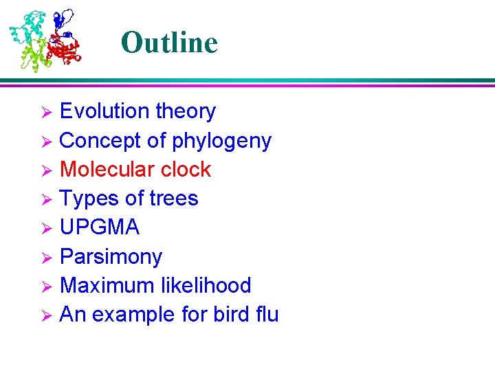 Outline Evolution theory Ø Concept of phylogeny Ø Molecular clock Ø Types of trees Outline Evolution theory Ø Concept of phylogeny Ø Molecular clock Ø Types of trees