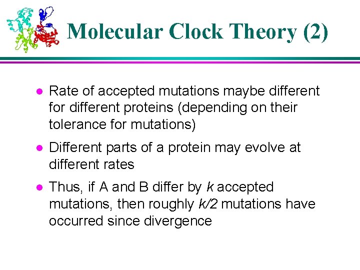 Molecular Clock Theory (2) l Rate of accepted mutations maybe different for different proteins Molecular Clock Theory (2) l Rate of accepted mutations maybe different for different proteins