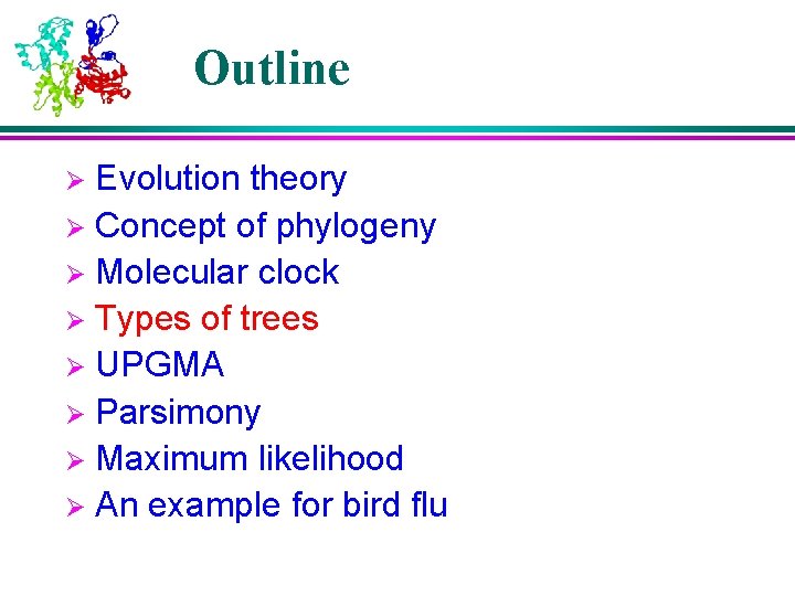 Outline Evolution theory Ø Concept of phylogeny Ø Molecular clock Ø Types of trees Outline Evolution theory Ø Concept of phylogeny Ø Molecular clock Ø Types of trees