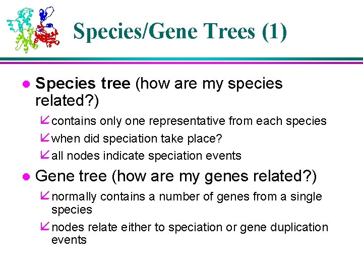 Species/Gene Trees (1) l Species tree (how are my species related? ) å contains Species/Gene Trees (1) l Species tree (how are my species related? ) å contains